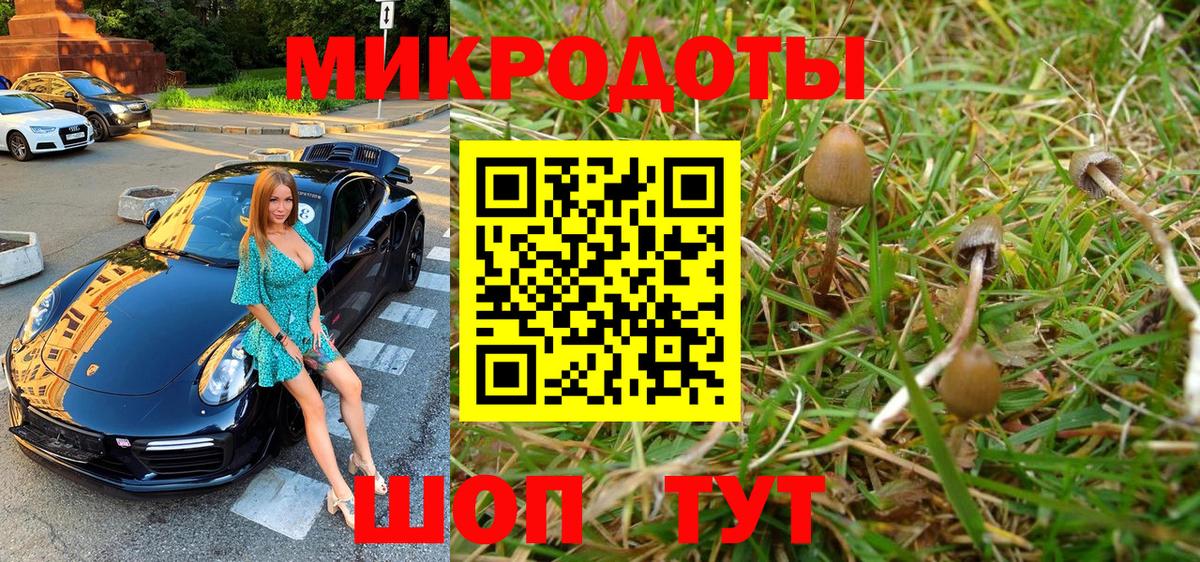Псилоцибиновые грибы MAGIC MUSHROOMS Видное