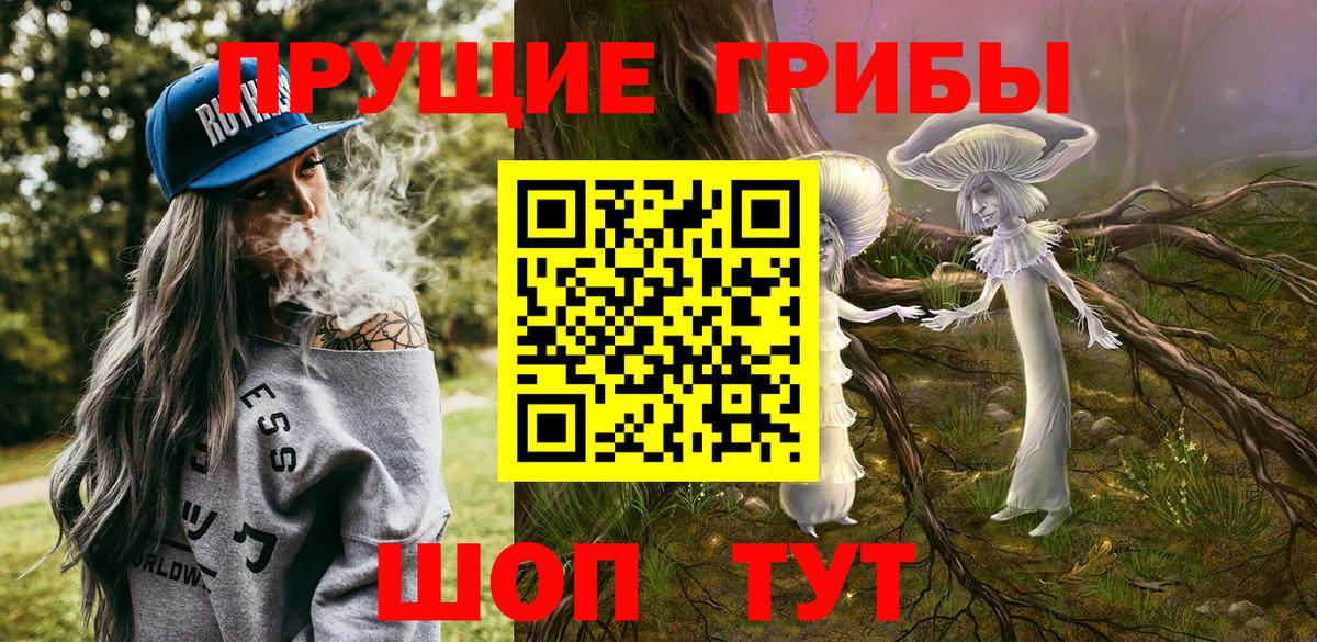 Видное  Галлюциногенные грибы MAGIC MUSHROOMS  Вход с VPN 